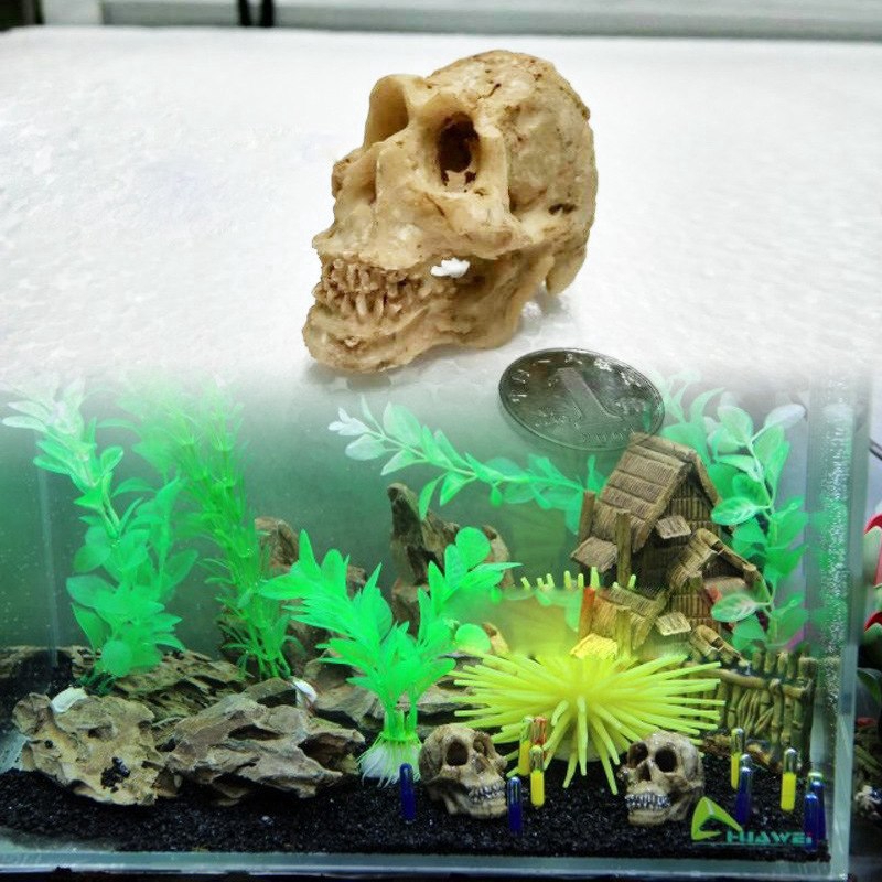 Reptile Rhino Sheepshead Resin Skull Aquarium Terrarium Decoration