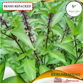 Biji Benih Malaysia (D) 20 SAYUR/ BUAH Zuccini radish betik sekaki 