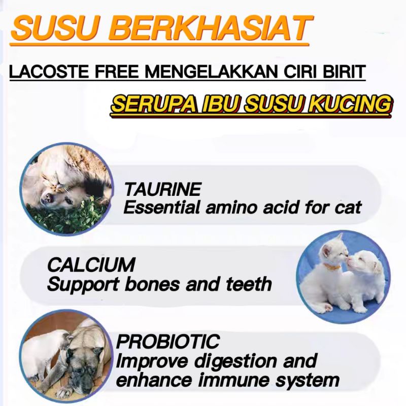 Buy 【HANYA SUSU】SUSU KAMBING PRO HALAI UNTUK ANAK KUCING NATURAL 