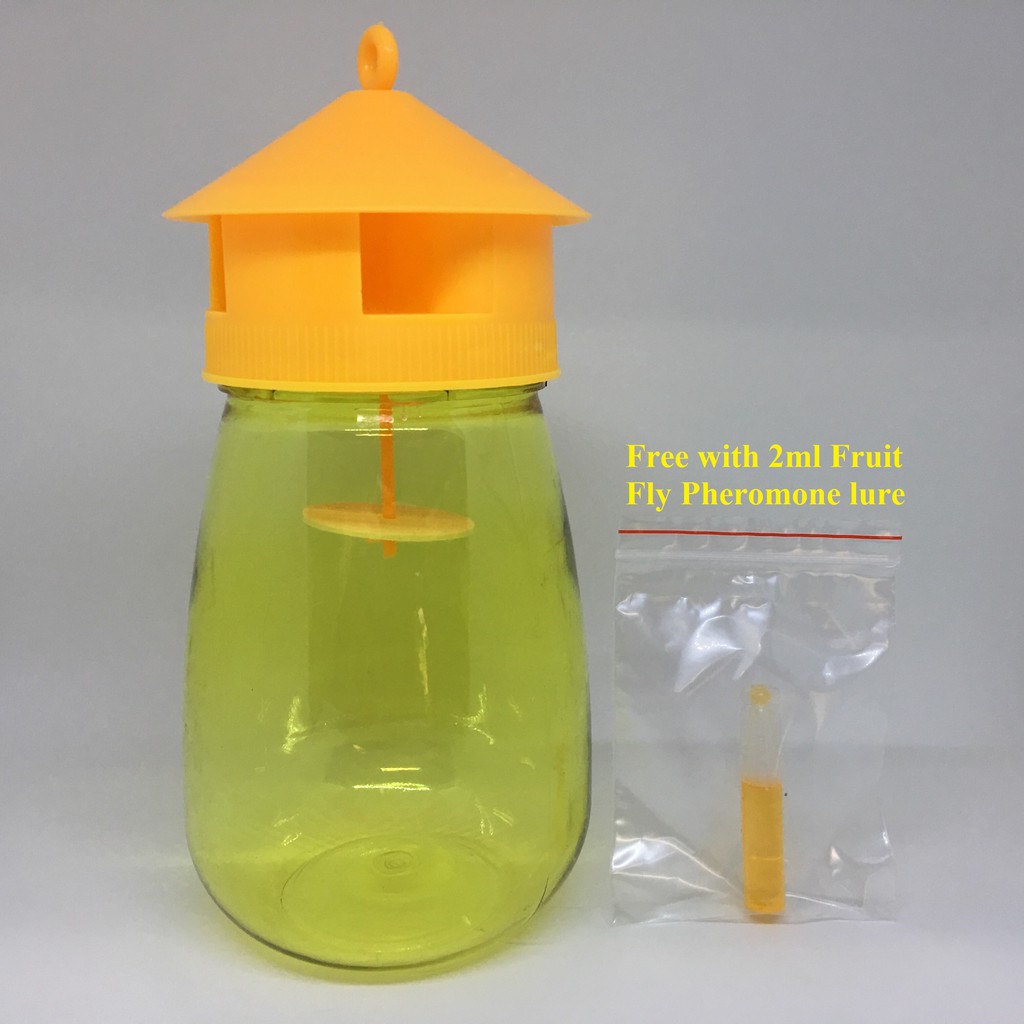 Oriental Fruit Fly Trap free with 2ml Fruit Fly Pheromone lure (Yellow