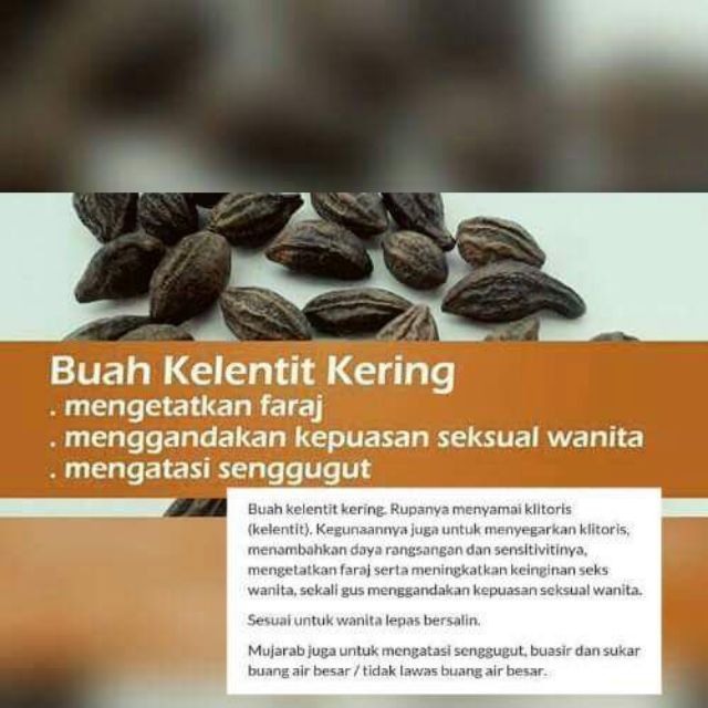 Biji Kedekai Majalawi Buah Kelentit Kering Kk Cekeli Belimbing Bukit Keliku Serbuk Kelentit Kering Shopee Malaysia