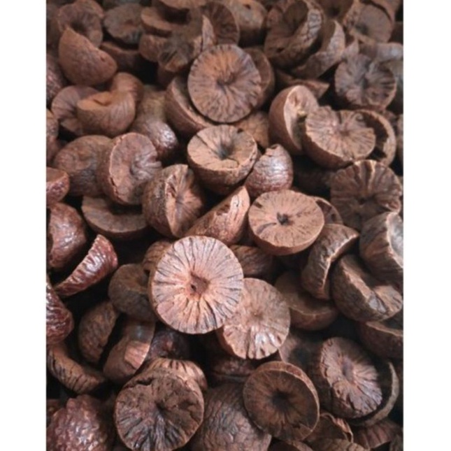 BETEL NUT/PINANG/PAAKU (250G,500G,1KG) | Shopee Malaysia