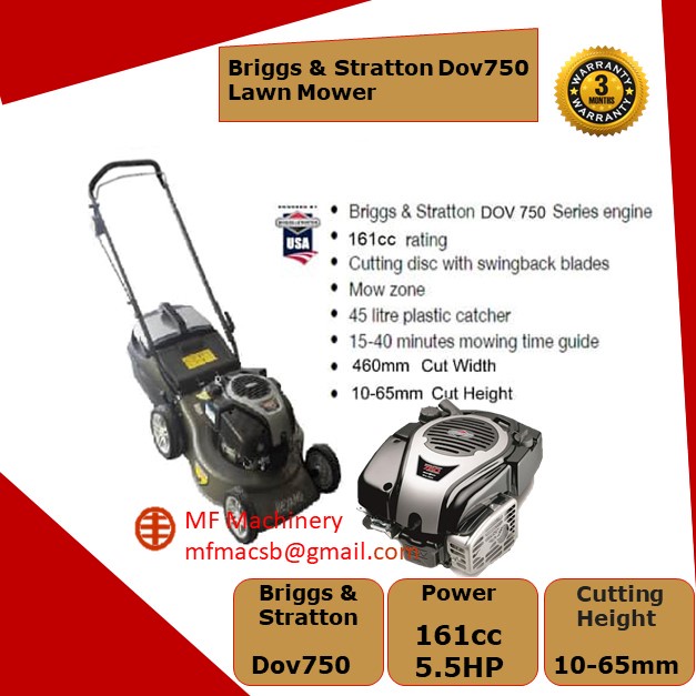 Mf Briggs and Stratton B&S 750 Series DOV 19