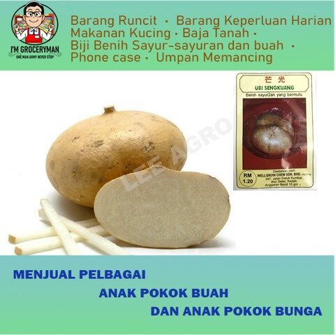 Biji Benih Ubi Sengkuang Sayur-Sayuran Dan Buah-Buahan Seed Seeds Vegetable Fruit icama…