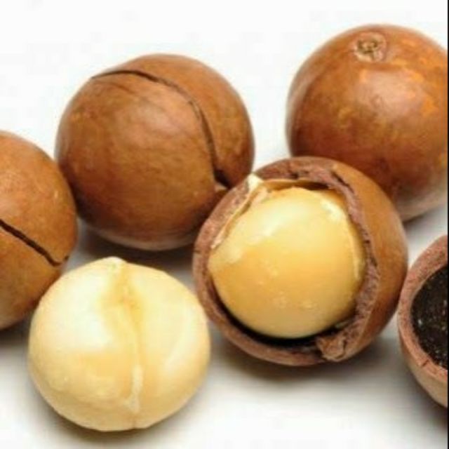 Harga Kacang Macadamia Malaysia