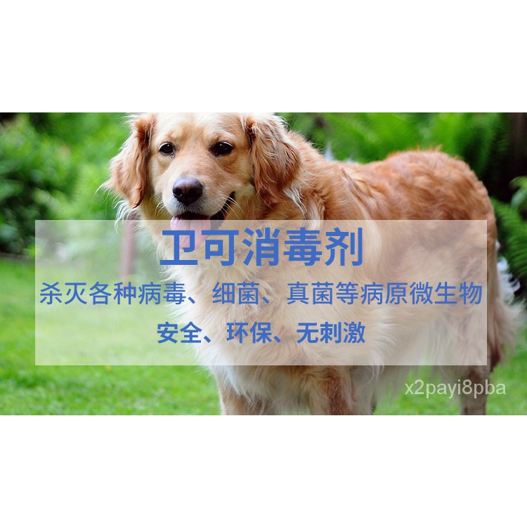杜邦卫可宠物消毒剂狗猫用环境消毒液犬瘟细小室内消毒除臭杀菌粉 Shopee Malaysia