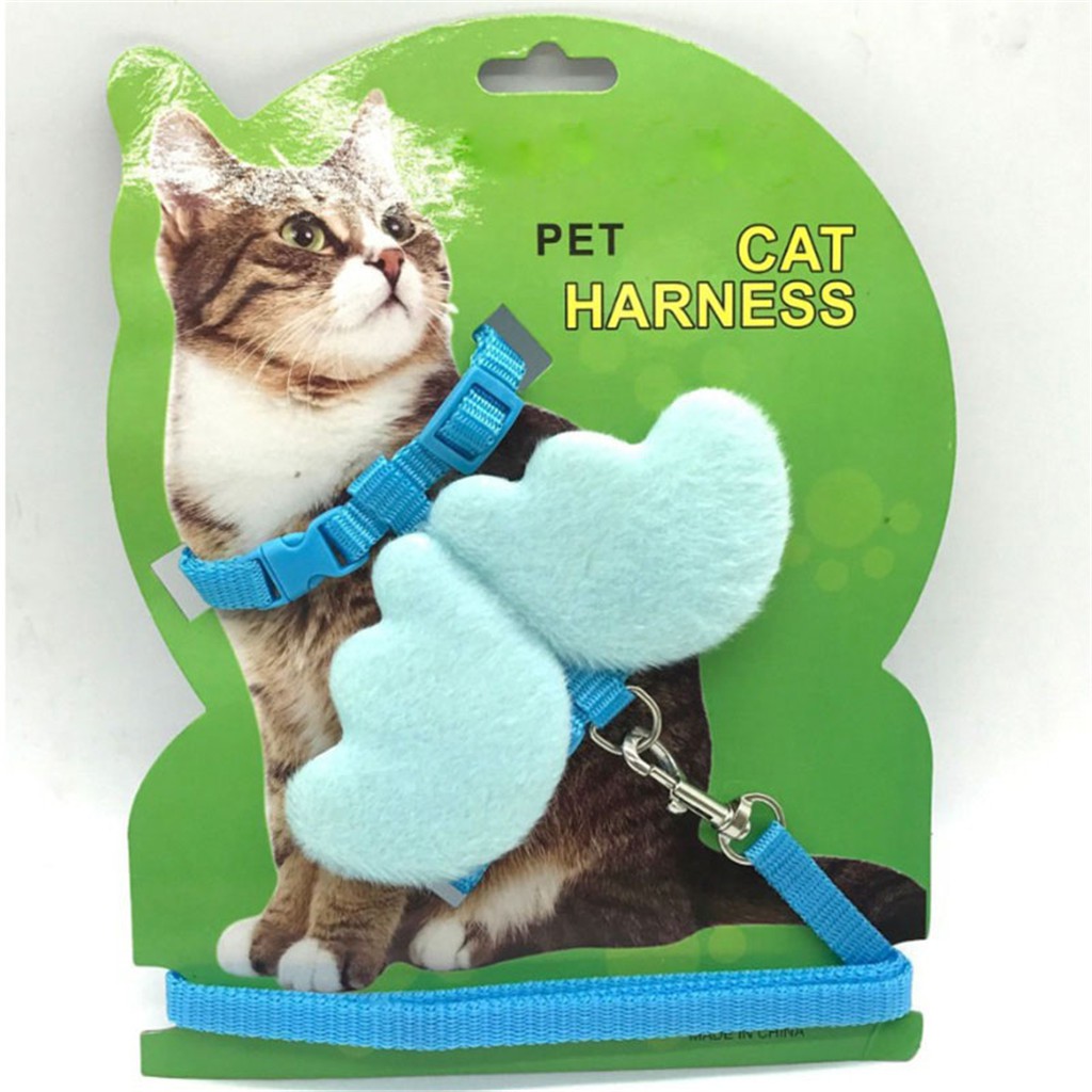 cat collar and leash