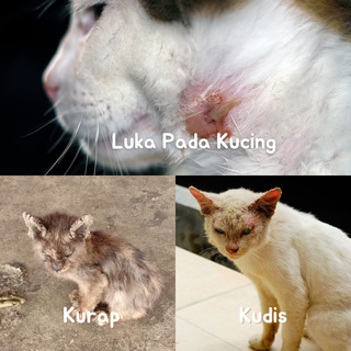 Ubat KURAP Kucing dan Haiwan Ternakan  Cat Fungus Sporo Wound For Cat