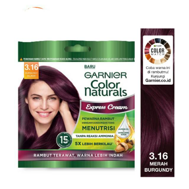 Garnier Hair Color Naturals 3.16 Burgundy Red (Sachet Packaging) Hair