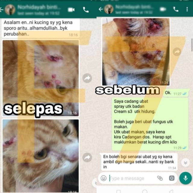 New Ps Herbs Hq Set Ubat Sporo Kucing Anjing Shopee Malaysia