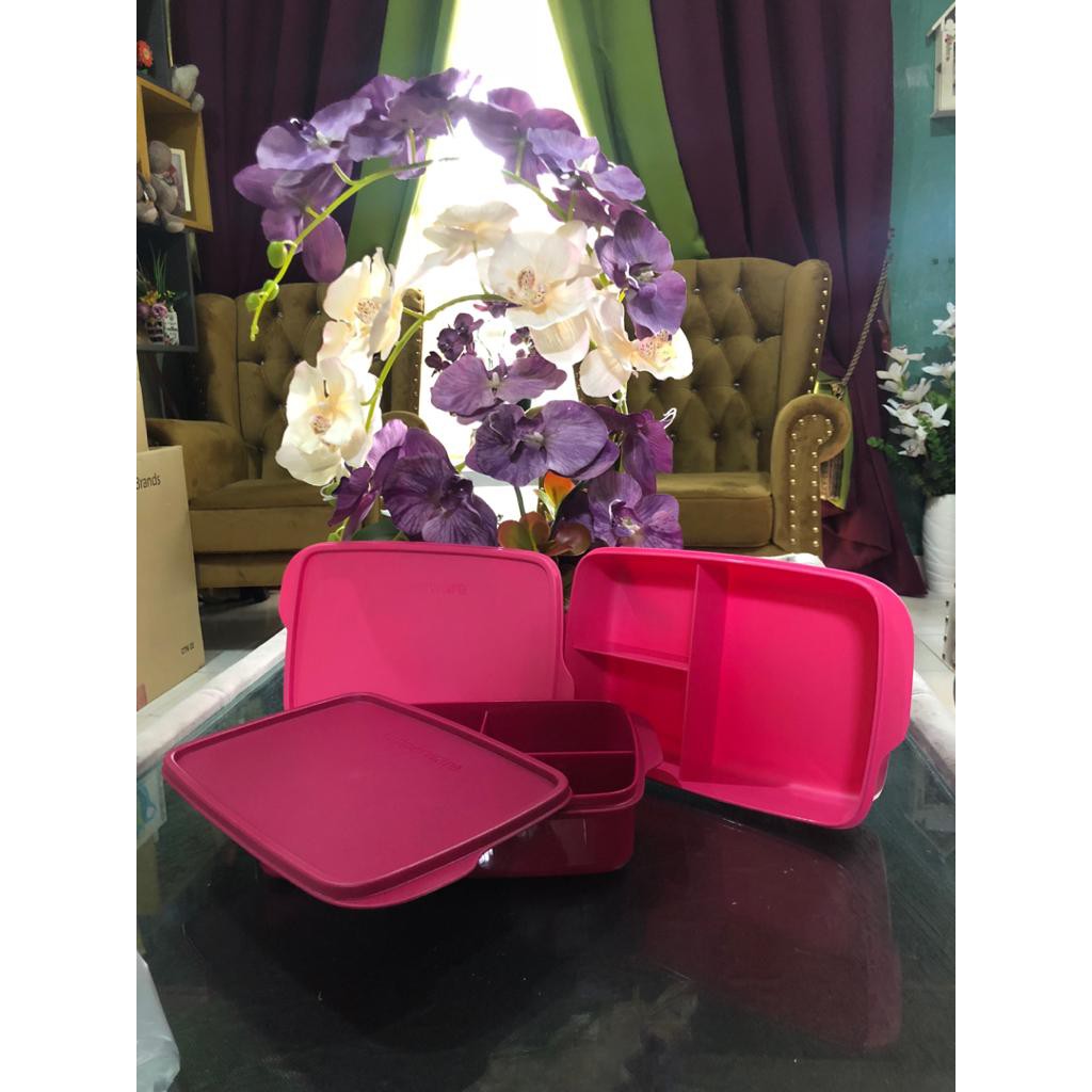 Tupperware LolliTup Lunch Box 550ml 1pcs Shopee Malaysia