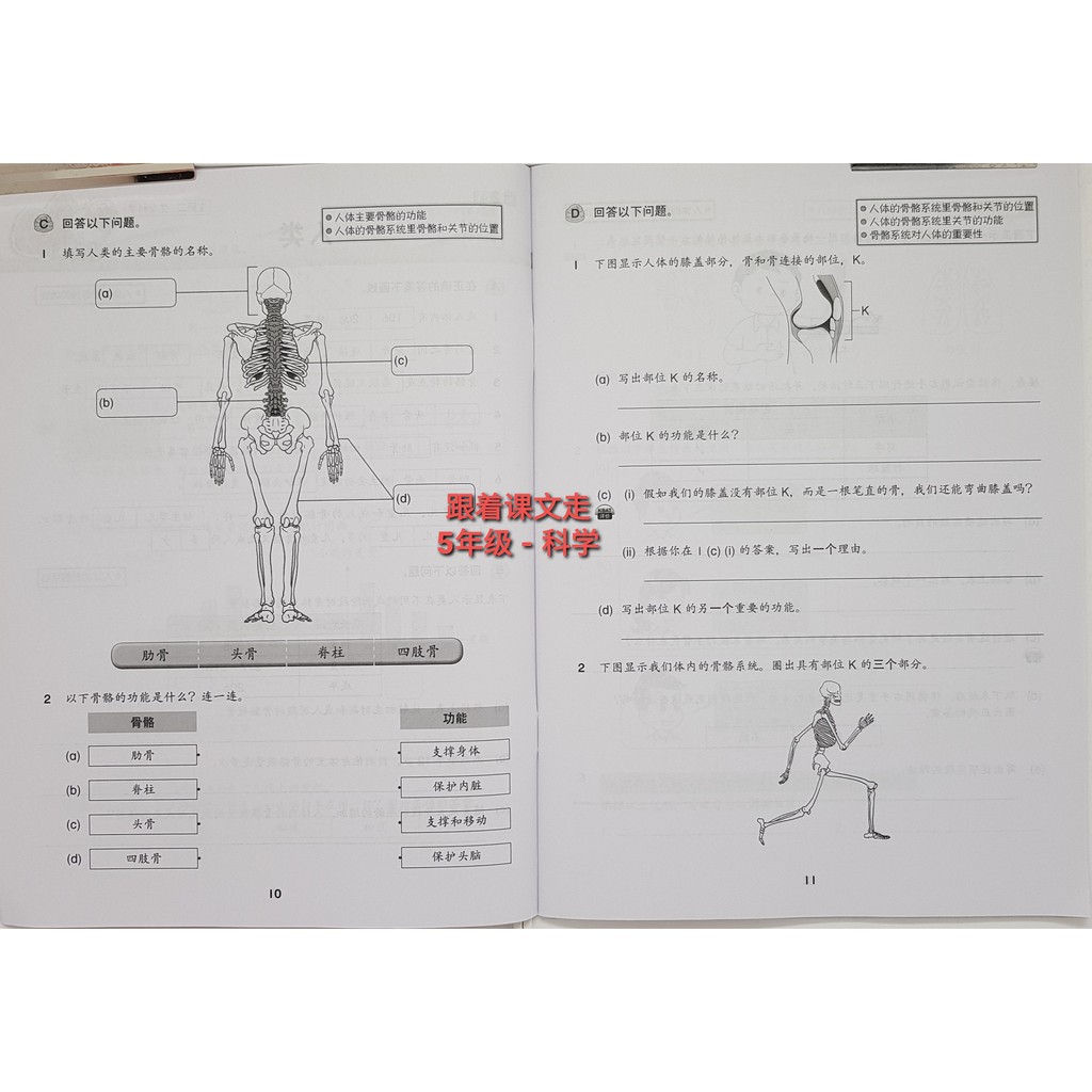 教育出版社 跟着课文走buku Kerja Sjk C 华文bc 马来文bm 英文eng 数学math 科学sains Shopee Malaysia