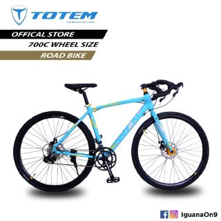 totem 29er