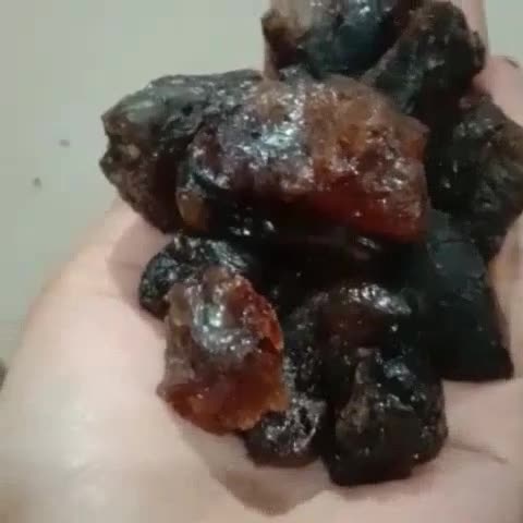 Buy Getah KATILAYU 100% Original / KATILAYU Essents For Fishing 