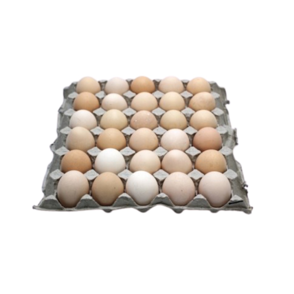 Kampung Eggs 30pc (sold per tray)