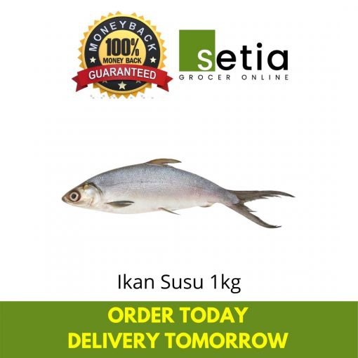 Ikan Susu Fresh 1 Kg Shopee Malaysia