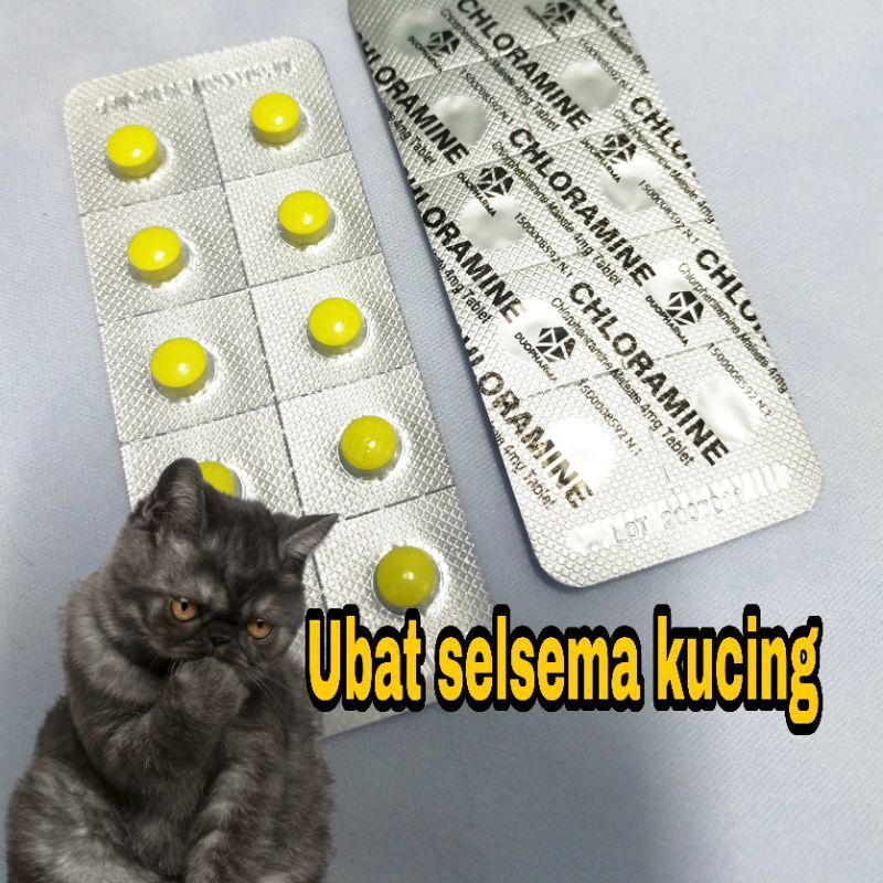 UBAT SELSEMA/BERSIN UNTUK KUCING [10PCS]  Shopee Malaysia