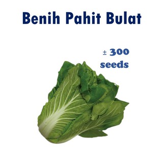 Biji Benih Buah Buahan Dan Sayur Sayuran Jagung Betik Cabai Sawi 