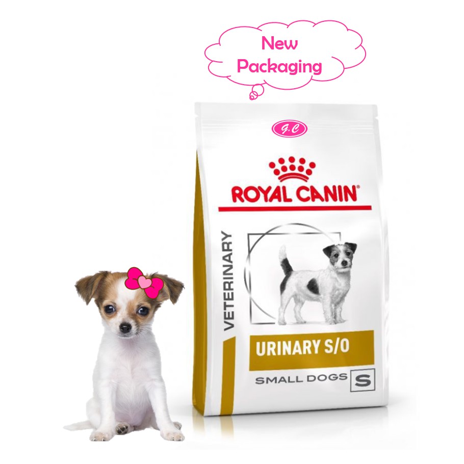 royal canin urinary small dog