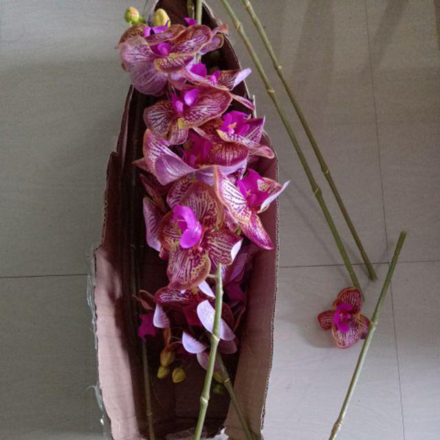 Bunga Orkid Latex 1 Pcs Orchid Flower Gubahan Orkid Pokok Bunga Orkid Latex 1 Pcs Orchid Flower Gubahan Orkid Pokok