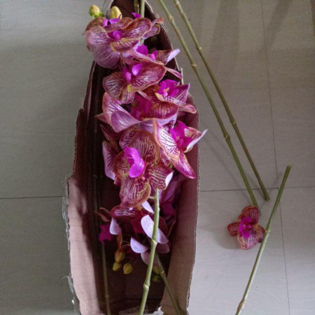  Bunga  Orkid  Latex 1 Pcs Orchid Flower Gubahan Orkid  Pokok 