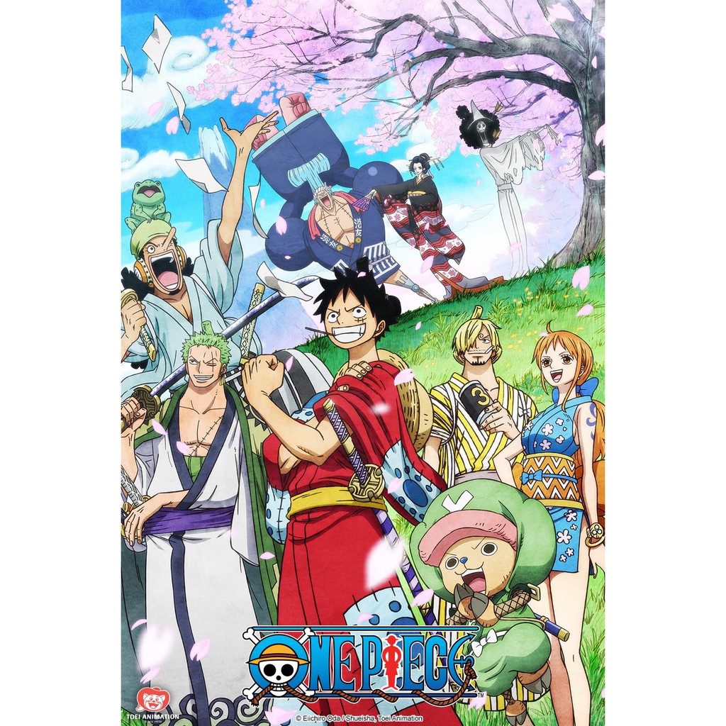 One Piece 973 Episode On Going Movies Dvd Sub Indo Full Hd 7p Shopee Malaysia