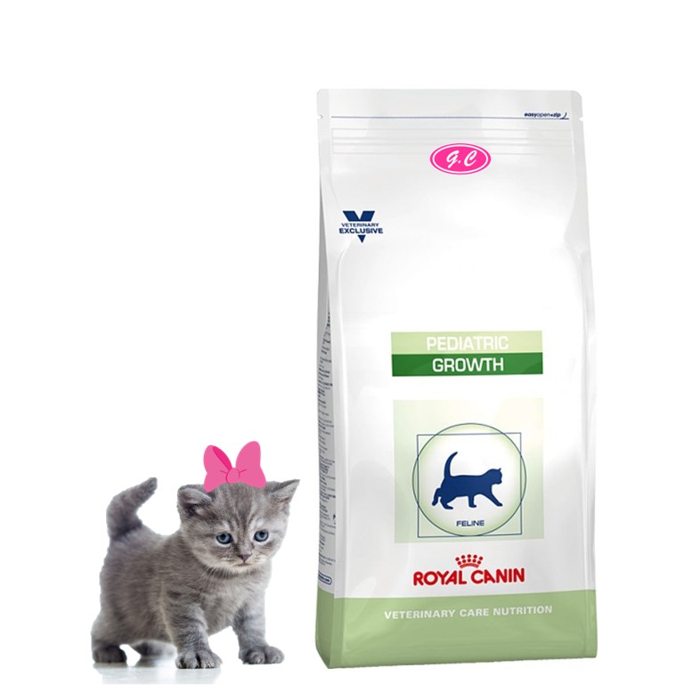 kitten dry food royal canin