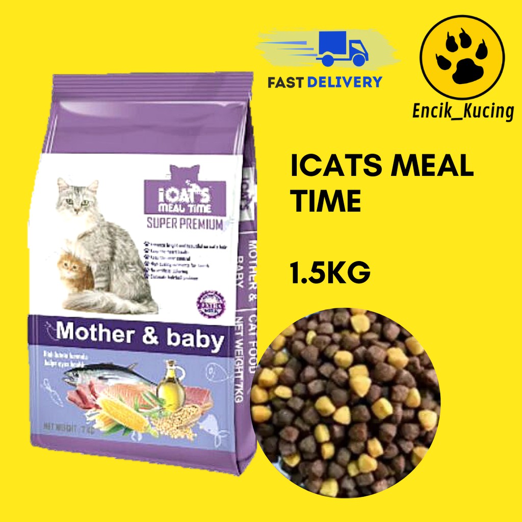 Anak Makanan Kucing Homemade