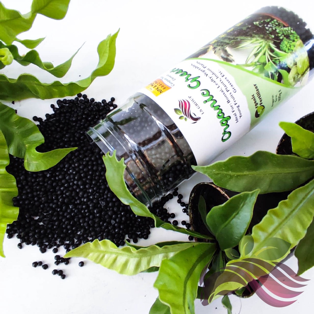 Fertilizer] Organic Green 600g 有机青肥Organic Fertilizer by LS Group | Shopee  Malaysia