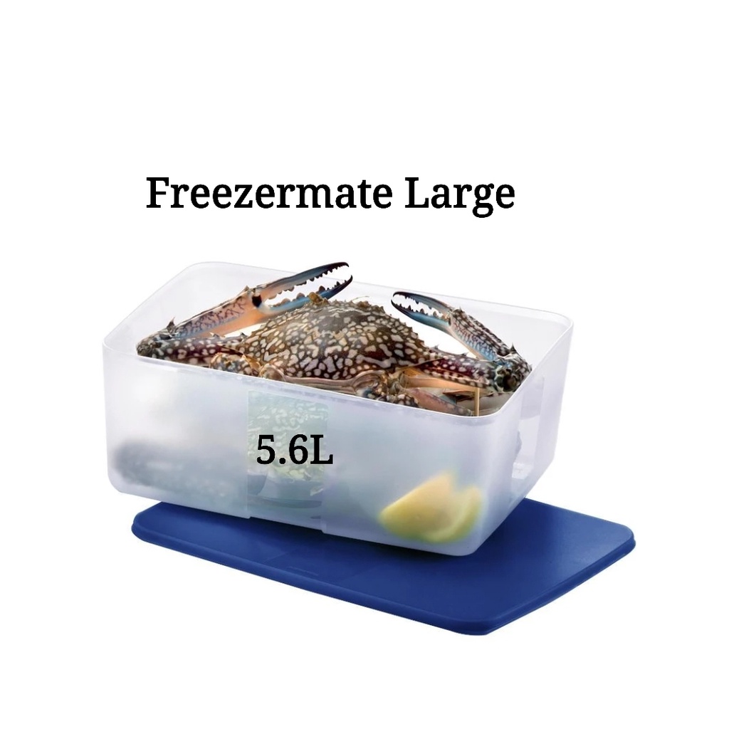 Tupperware Freezermate Large 5.6L (1) Dark Blue