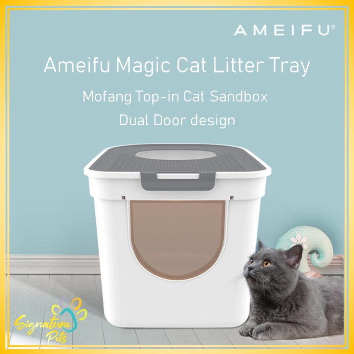 magic cat litter