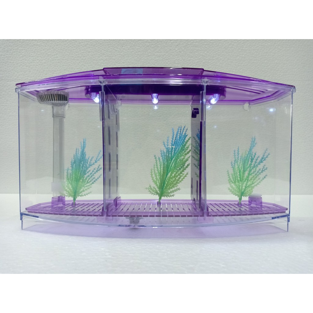 Venys Triple Betta Tank With Led Lamp Shopee Malaysia