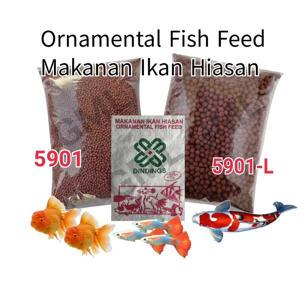 DINDINGS Makanan Ikan  Hiasan  Repack 200g Aquarium  Fish 