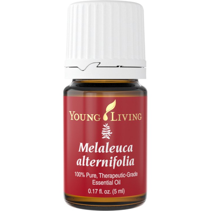 Young Living Melaleuca Alternifolia Essential Oil 5ML Original + Free