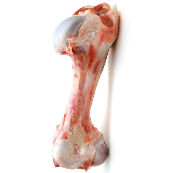 Premium Australia Beef Marrowbone 1Kg± Frozen Marrow Bone Bonemarrow Bone Marrow