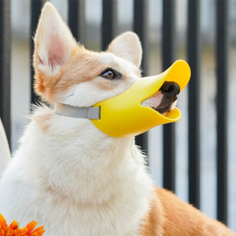 duck muzzle