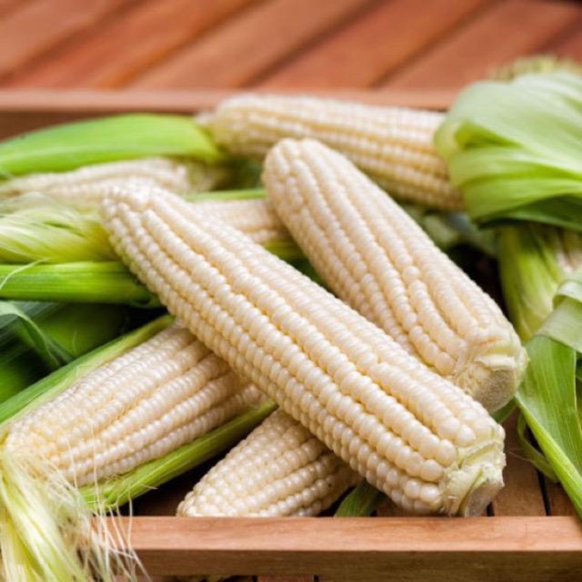 Jagung mutiara Cameron highland ready KL Shopee Malaysia Jagung mutiara Cameron highland ready KL Shopee Malaysia