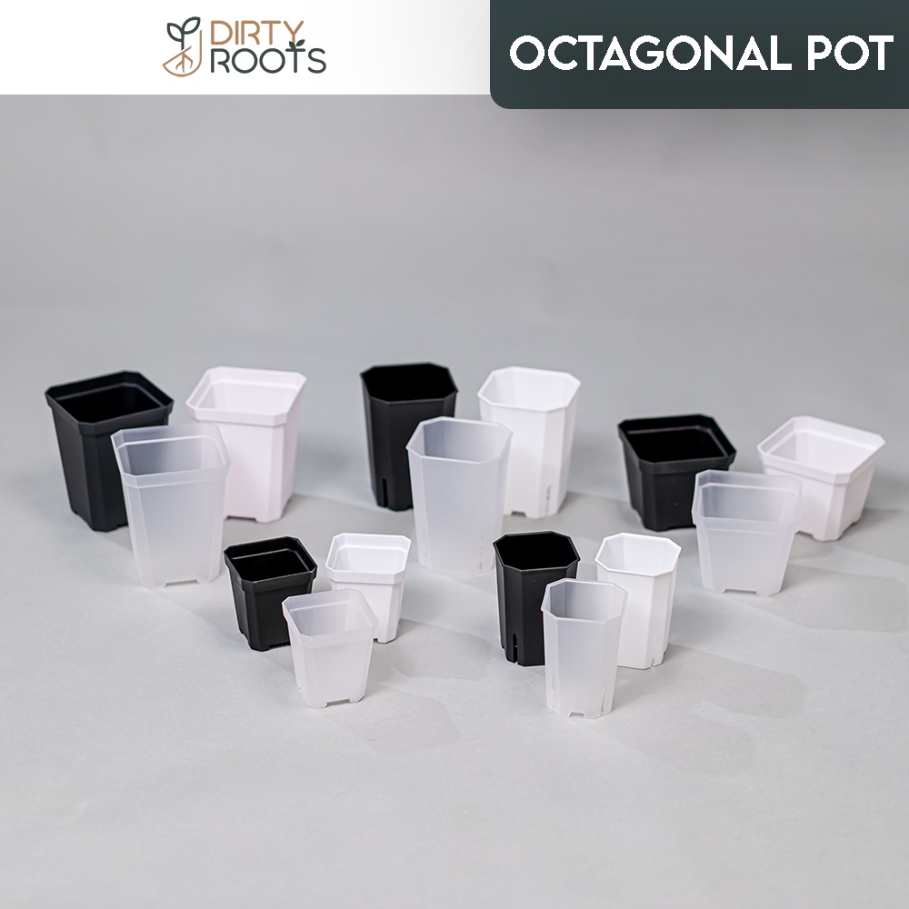 Octagonal Pot Suitable for Succulent Aroid Nursery Pots Propagation