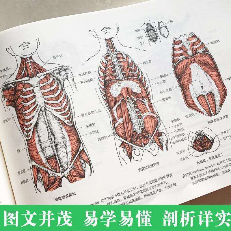 人体解剖学 第42版 南江堂 定価10450円 歯科医師 歯学部 - 健康・医学