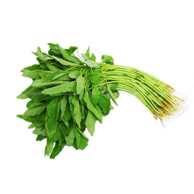 Biji benih bayam hijau daun tajam 5 gram Shopee Malaysia Biji benih bayam hijau daun tajam 5 gram Shopee Malaysia