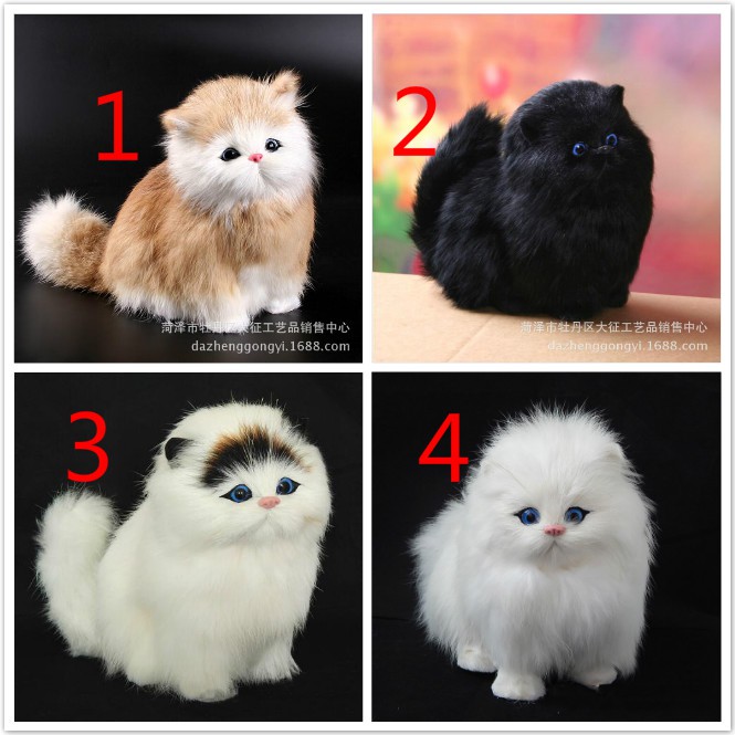 cats and dolls