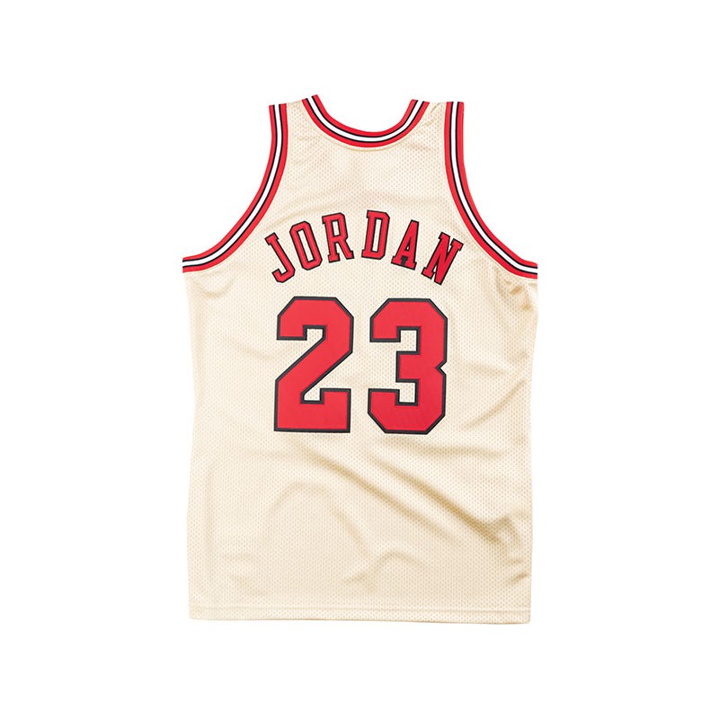 Ness Jordan 95 Bulls MN vintage jersey 
