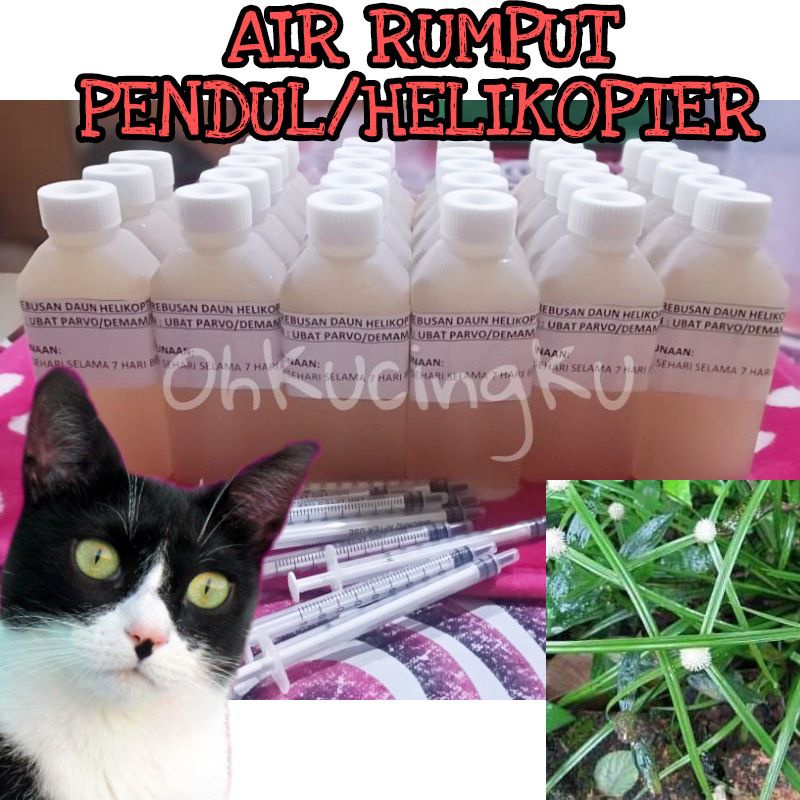 Kucing untuk daun helikopter Senyawa Bioaktif