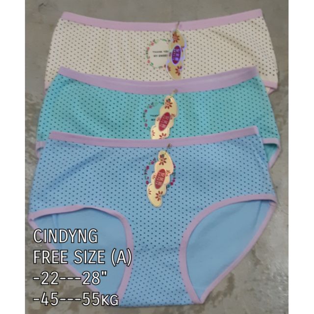 ladies briefs size 22