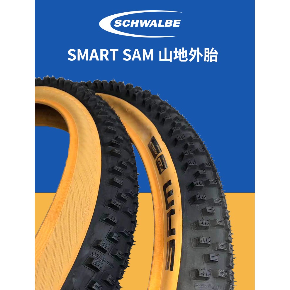 schwalbe smart sam active 2.25 29