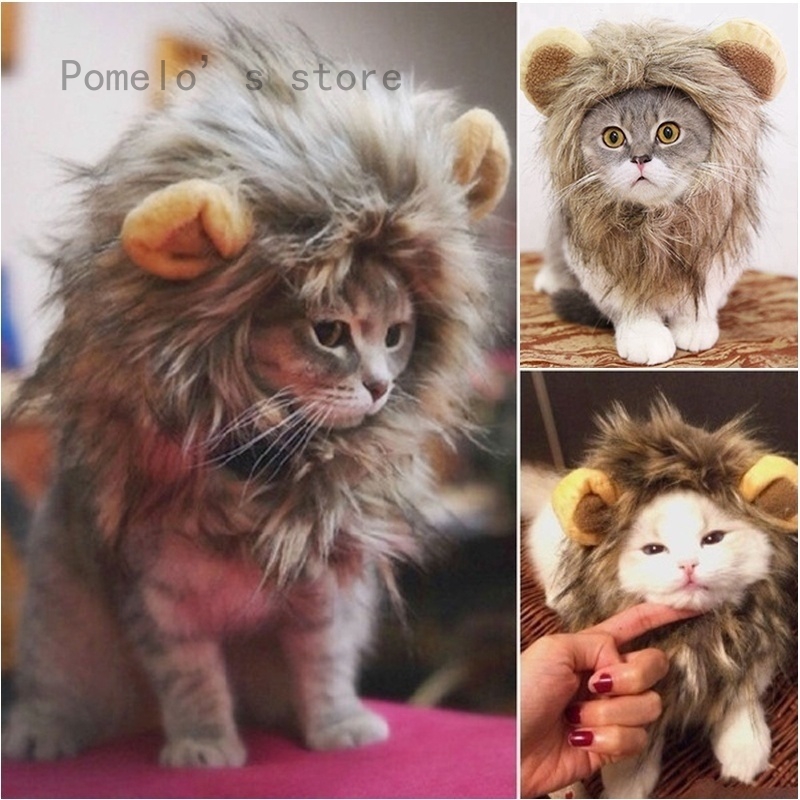 Casual 1pcs Creative Cute Lion Wigs Pet Hat Costume Lion Mane Cat Wig Halloween Dress Up Props Shopee Malaysia - cute cats in cute hats sweater roblox