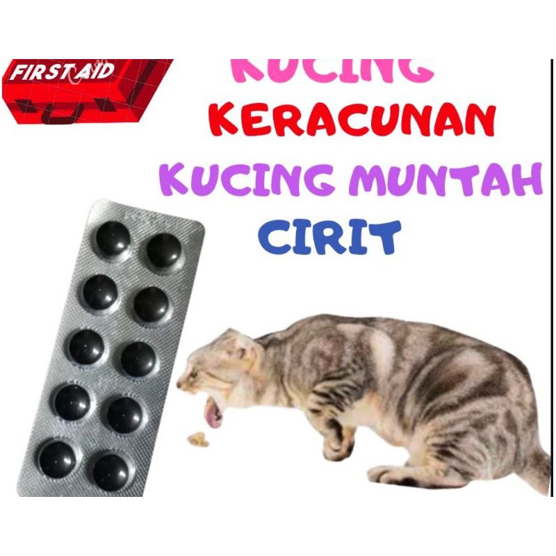 Ubat Cirit Birit / Muntah / Keracunan / Diarrhea Kucing u0026 Anjing Exp 06/23