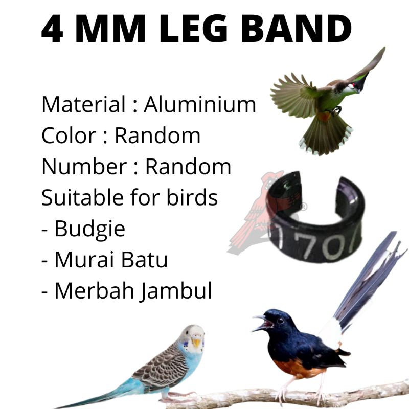 Opening foot ring bird Gelang burung 4mm//5mm/6mm/7mm code 0105 | Shopee  Malaysia