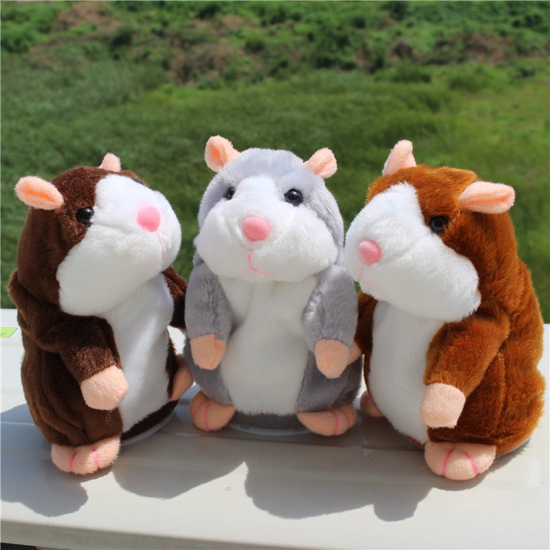talking pet hamster