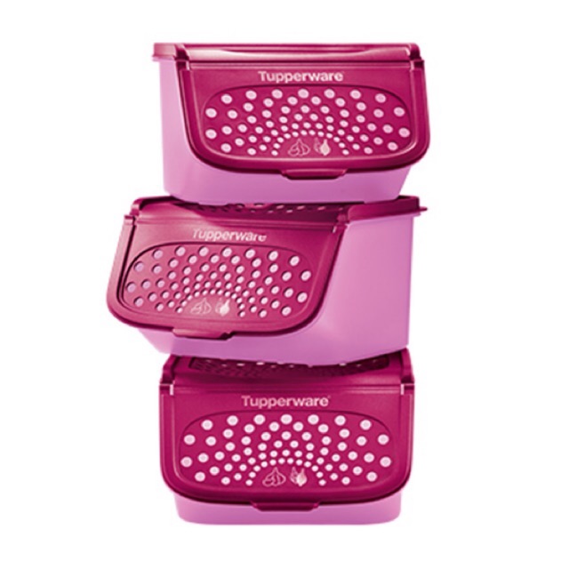 Tupperware Garlic N All Keeper 2.3L (1) Shopee Malaysia